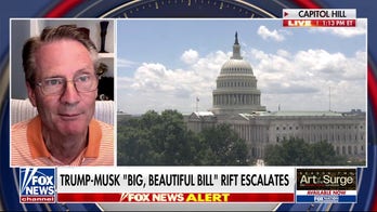 Democrats have 'no fiscal responsibility,’ GOP lawmaker argues