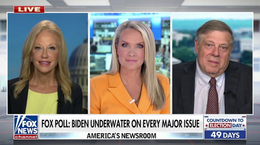 Mark Penn: If Democrats get 'wiped out' in the midterms, Biden may not run again