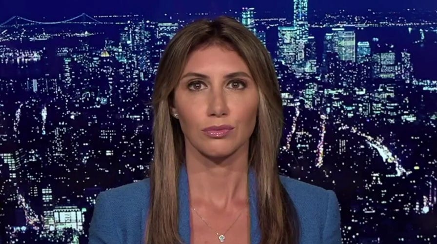 Alina Habba responds to Trump's not guilty plea: 'We get to litigate the case'