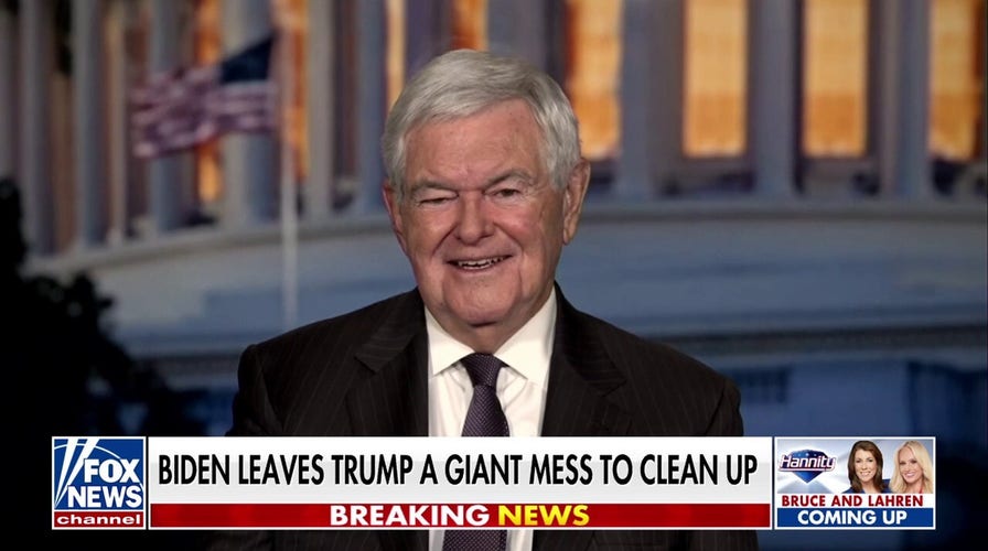 Newt Gingrich reveals why Kamala Harris brought him 'joy' post-election