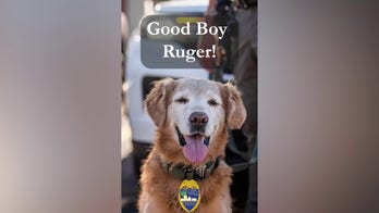 Florida K-9 finds missing teen with autism alone in parking lot, officers say