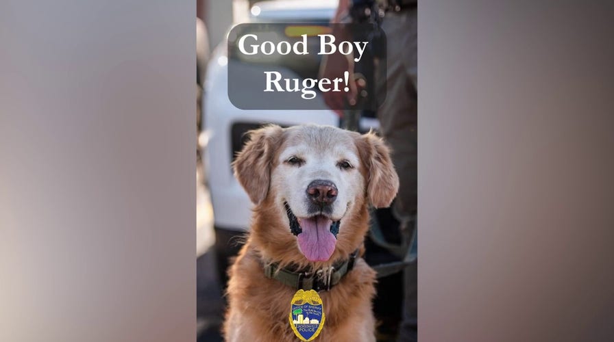 Florida K-9 finds missing teen with autism alone in parking lot, officers say