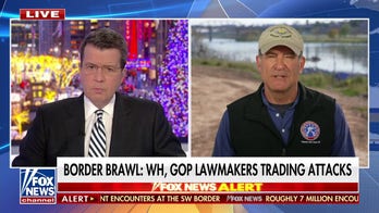 Rep. Mark Green: Mayorkas has 'abused his position to push a woke agenda'