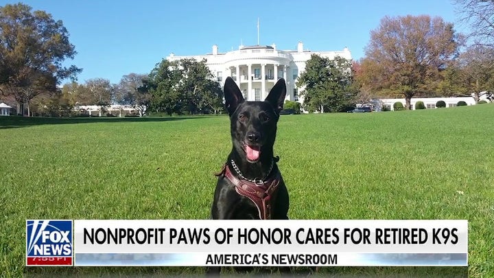 Nonprofit gives free veterinary care to retired police dogs