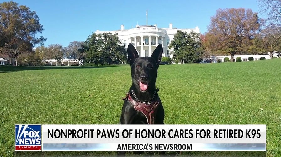 Nonprofit gives free veterinary care to retired police dogs