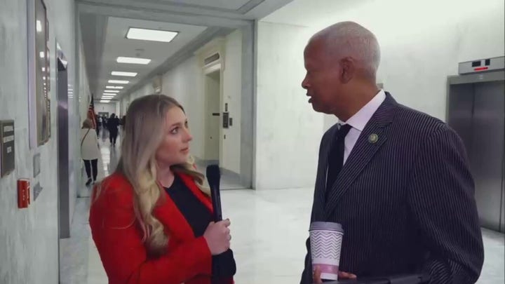 Rep. Hank Johnson, D-Ga., says immigrants are not crossing into U.S. illegally