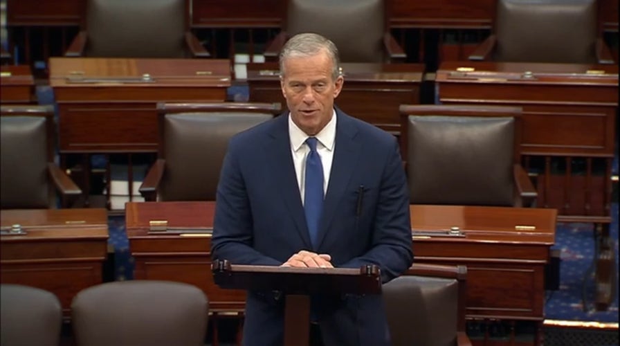 Thune blasts 'mindless' Democrats over SAVE Act opposition