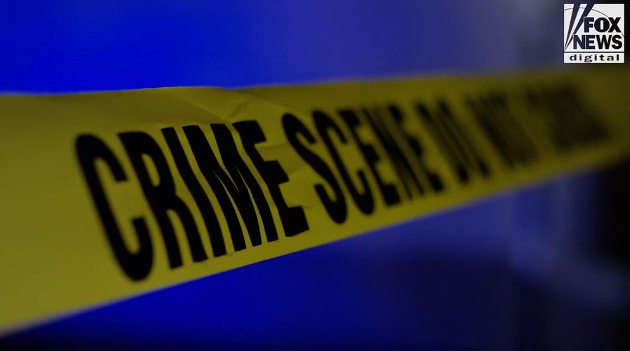 Sheriff: California run by politicians who are ‘100% pro-criminal’