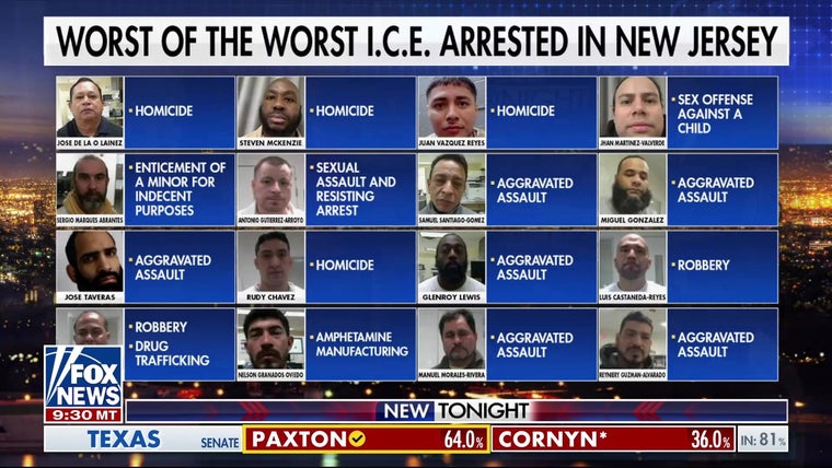New Jersey Democrats visit ICE facility amid protests