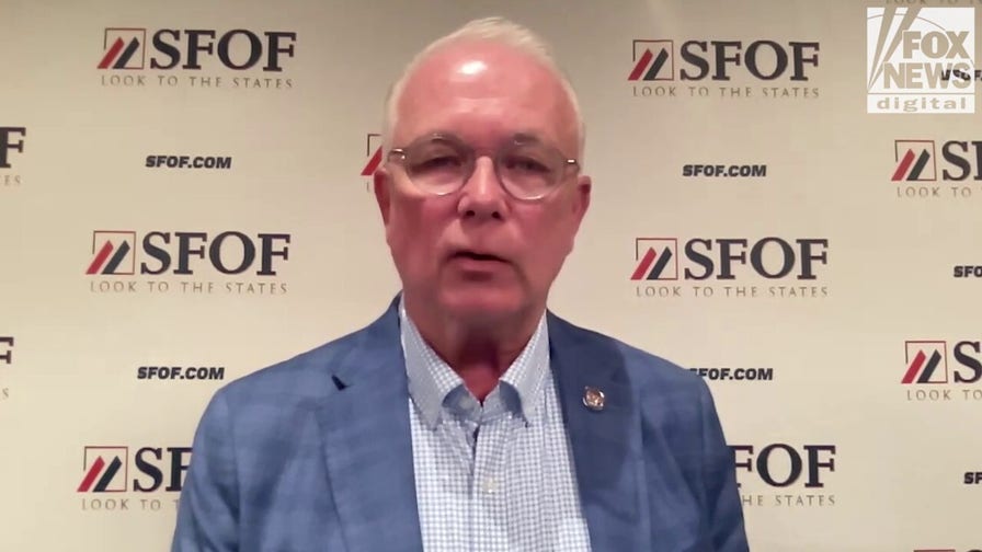 Red state auditor reveals massive fraud concern ‘built in by government’