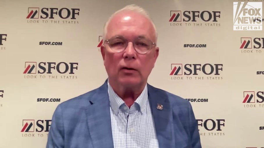Red state auditor reveals massive fraud concern ‘built in by government’