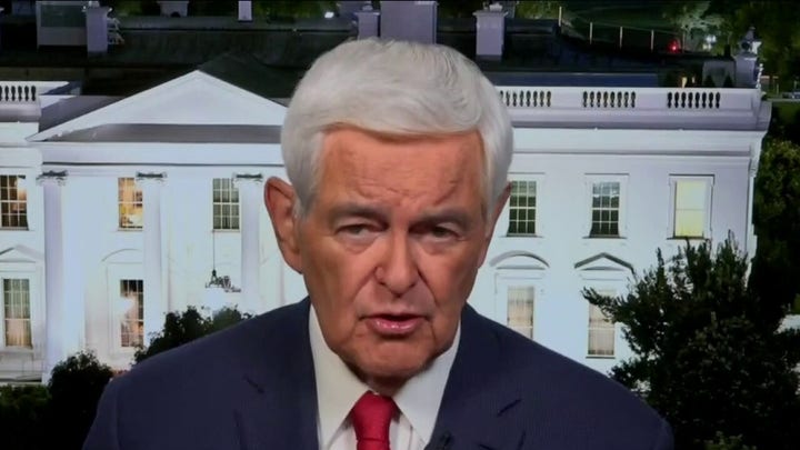Newt Gingrich explains how there is a 'political aristocracy' as rules don't apply to Democrats
