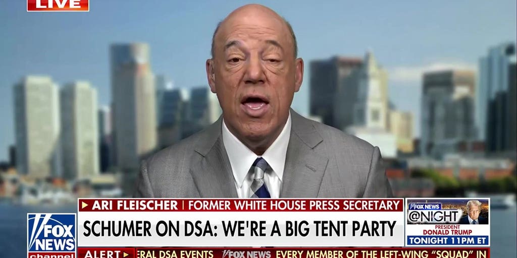 Socialists are coming for Schumer: Former WH press secretary