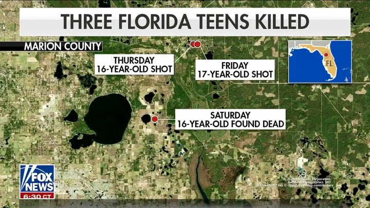 Florida Sheriff Warns Arrest 'imminent' In Shooting Deaths Of Three ...