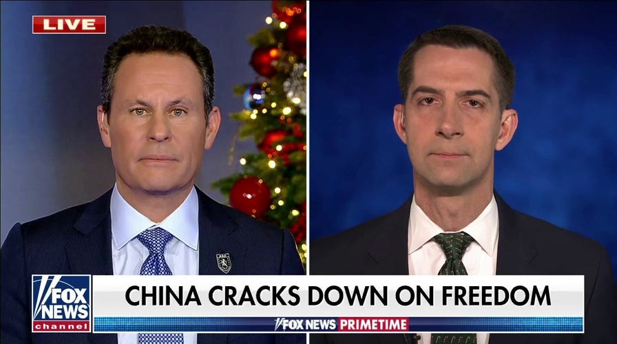 Tom Cotton: We need to reduce our entangled trade relationship with China 