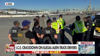 ICE’s ‘Operation Highway Sentinel’ ramps up crackdown on illegal migrant truck drivers