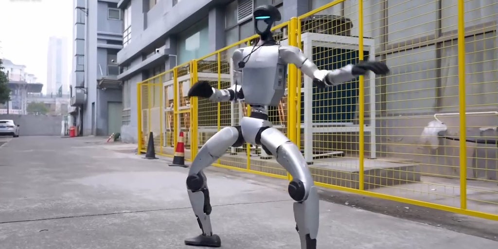 Chinese robot's kung fu moves will make your jaw drop
