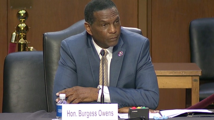 Rep. Burgess Owens calls Georgia comparisons to Jim Crow 'outrageous,' accuses Dems of 'true racism' 