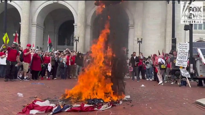 Pro-Hamas demonstrators set the American flag on fire in DC