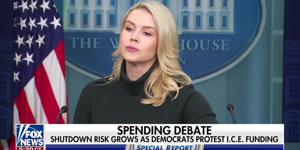 ‘Extravagant’ statements from DHS about Alex Pretti death ‘didn’t play well’: Brit Hume