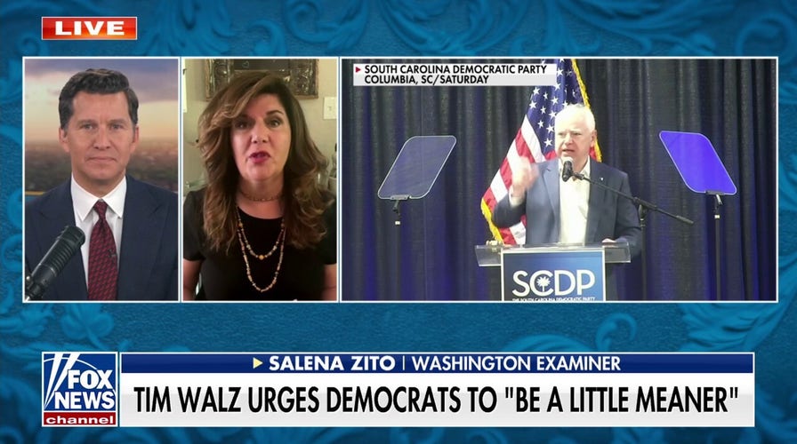 The Democratic Party's message 'divides people,' columnist argues