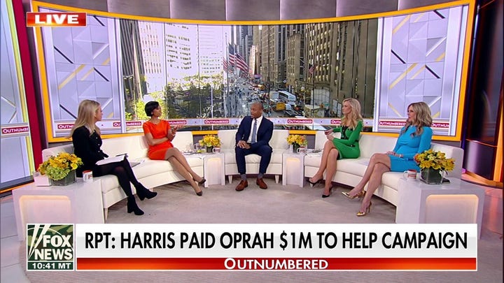 DNC official describes Kamala Harris’ campaign as epic disaster amid massive debt