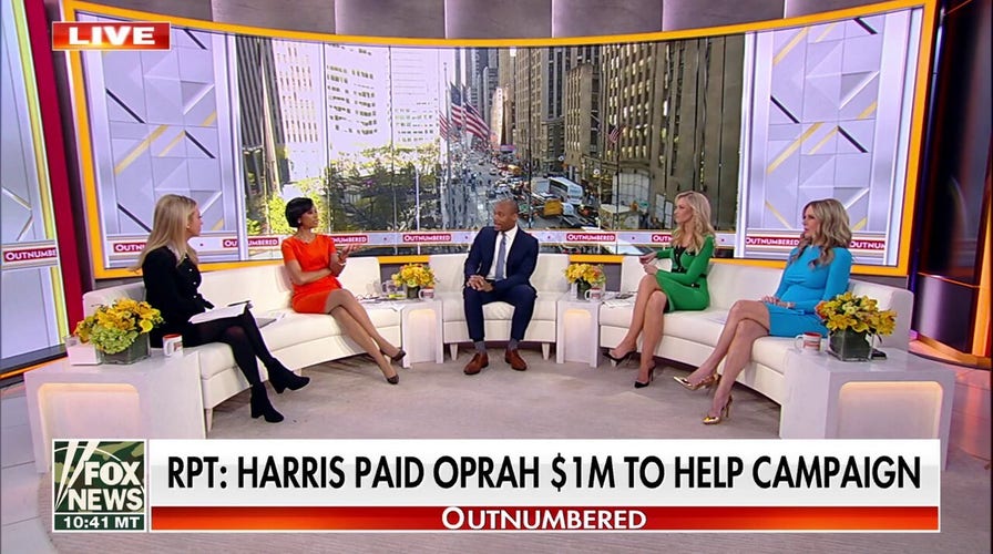 DNC official describes Kamala Harris’ campaign as epic disaster amid massive debt