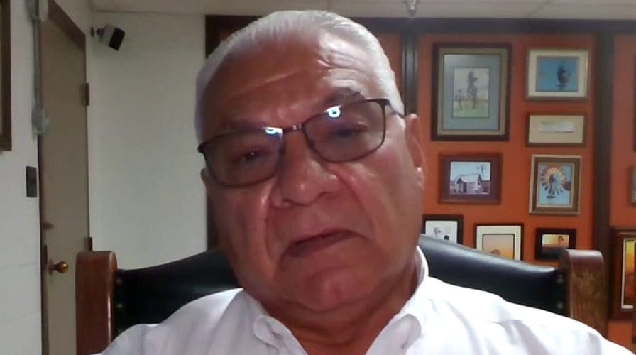 Texas sheriff warns 'more people will die' if border crisis is not solved