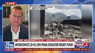 Both parties must work together after disasters like Maui fire: Democratic lawmaker - Fox News