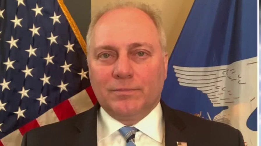 Police reform should not be approached in a 'hyper-partisan' way: Scalise