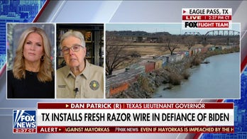 ‘If they cut it, we’ll replace it’: Dan Patrick on Texas’ battle over border razor wire