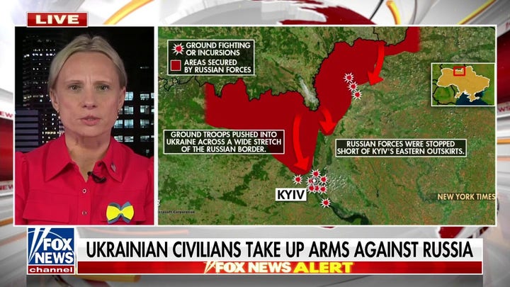 Ukrainian-born GOP lawmaker says US should be 'stronger and quicker' in helping Ukraine win the fight for 'all of us'