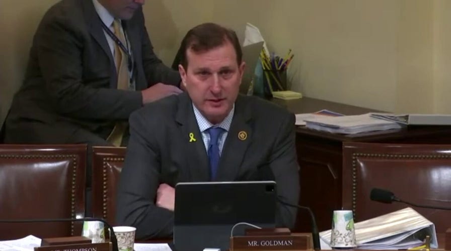 Democrat slammed for comment about law enforcement during illegal immigration hearing