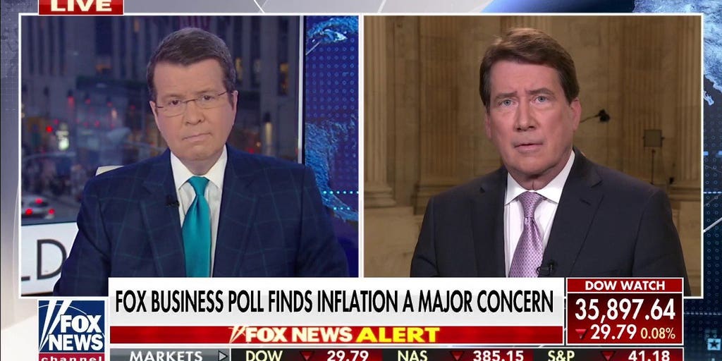 Democrats, Biden at crossroads on inflation | Fox News Video