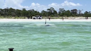 Una avioneta acaba en las aguas del Golfo, cerca de Honeymoon Island, tras un aterrizaje de emergencia