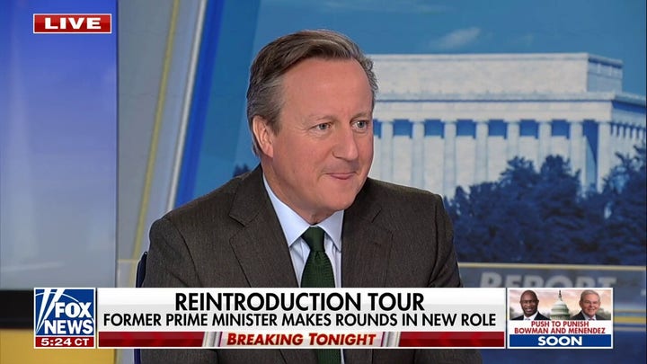 Russia-Ukraine war is about European, US security: David Cameron