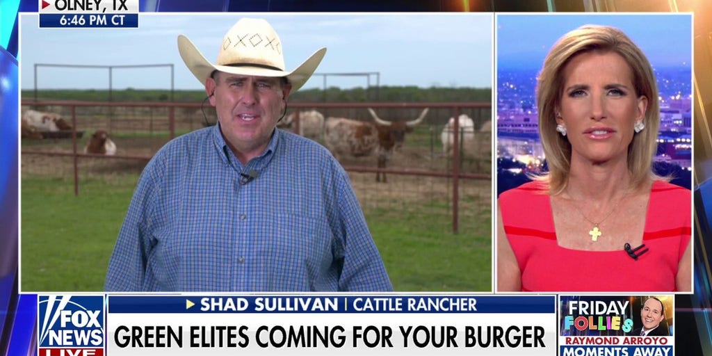 War on beef: Green elites could be coming for your burger