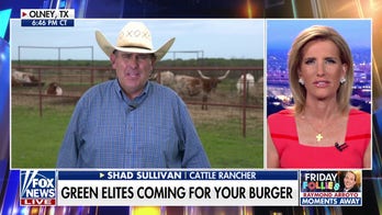 War on beef: Green elites could be coming for your burger
