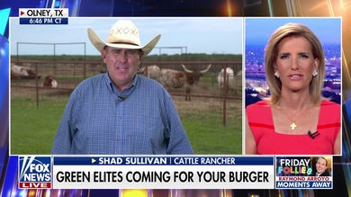War on beef: Green elites could be coming for your burger
