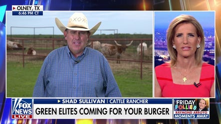 War on beef: Green elites could be coming for your burger