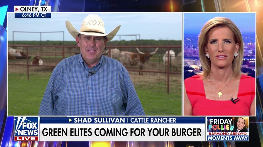 War on beef: Green elites could be coming for your burger