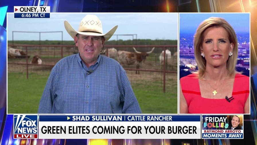 War on beef: Green elites could be coming for your burger