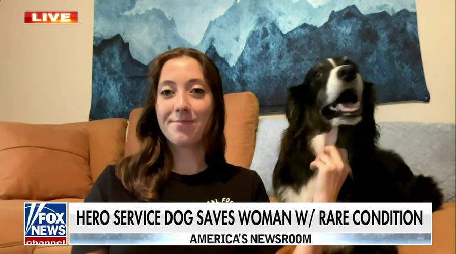 Service dog comes to the rescue during owners medical episode