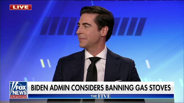 Jesse Watters: Biden just keeps attacking our natural gas