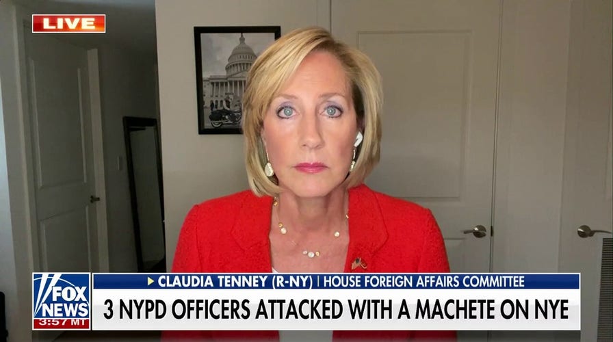 FBI 'not really keeping us safe' after NYPD machete attack: Rep. Claudia Tenney