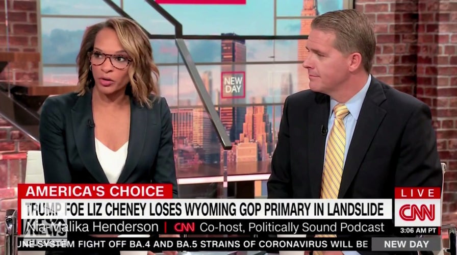 CNN analyst: Liz Cheney's base is the Beltway media