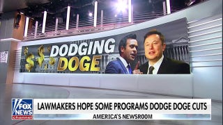 Lawmakers hope some programs 'dodge' DOGE cuts - Fox News