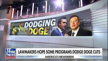 Lawmakers hope some programs 'dodge' DOGE cuts