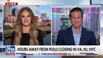 Tomi Lahren: Democratic Party has been completely captured by the activists