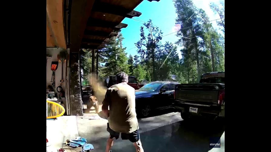 Lake Tahoe man deploys bear spray in dramatic encounter
